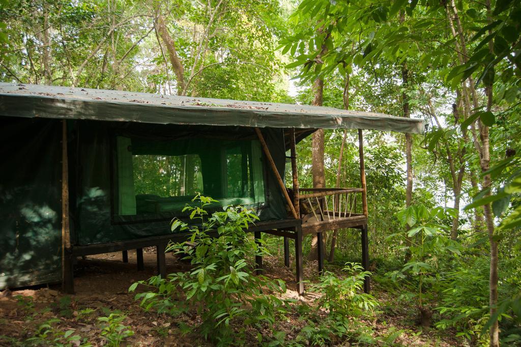 La Leona Eco Lodge Carate Exterior photo