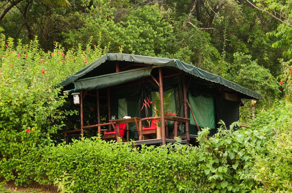 La Leona Eco Lodge Carate Exterior photo