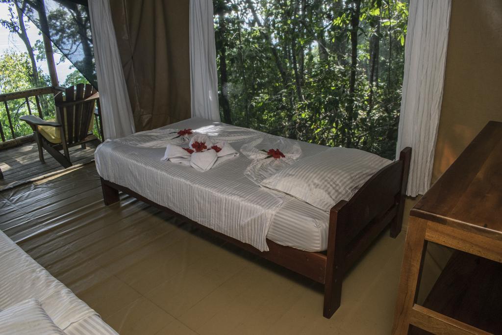 La Leona Eco Lodge Carate Room photo