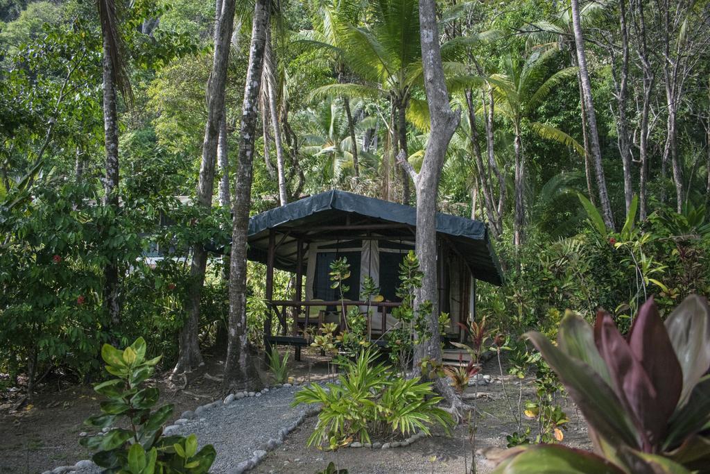 La Leona Eco Lodge Carate Exterior photo