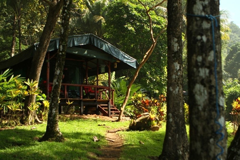 La Leona Eco Lodge Carate Exterior photo