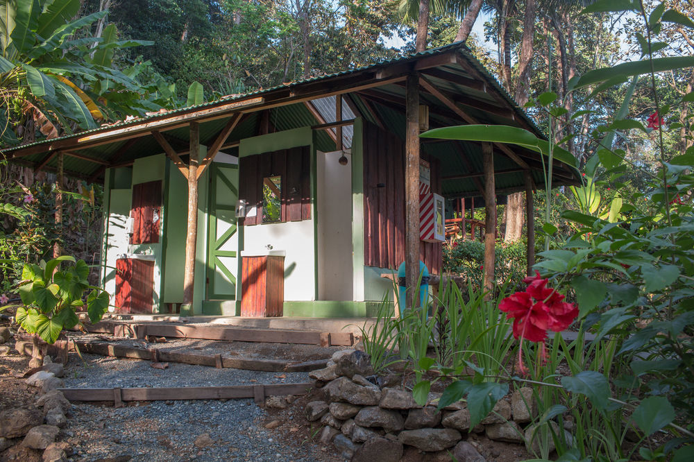 La Leona Eco Lodge Carate Exterior photo