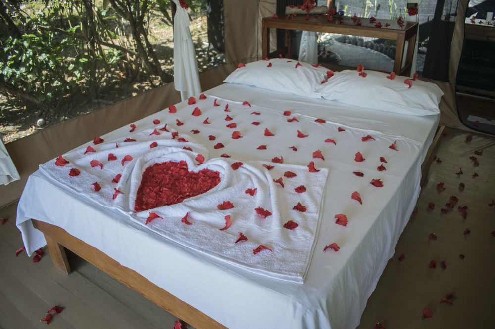 La Leona Eco Lodge Carate Exterior photo